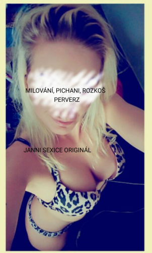 CHCI TĚ NON-STOP PÍCHÁNÍ