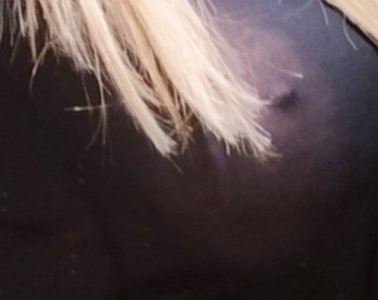Linda
