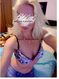 CHCI TĚ NON-STOP PÍCHÁNÍ